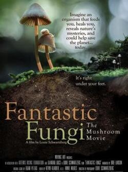 постер Фантастические грибы